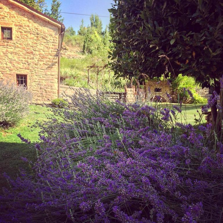 Ca' Maranghi Holiday House Palazzuolo Sul Senio Zewnętrze zdjęcie